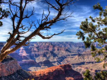 view on the Grand Canyon