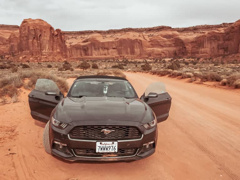 mustang in monument valley