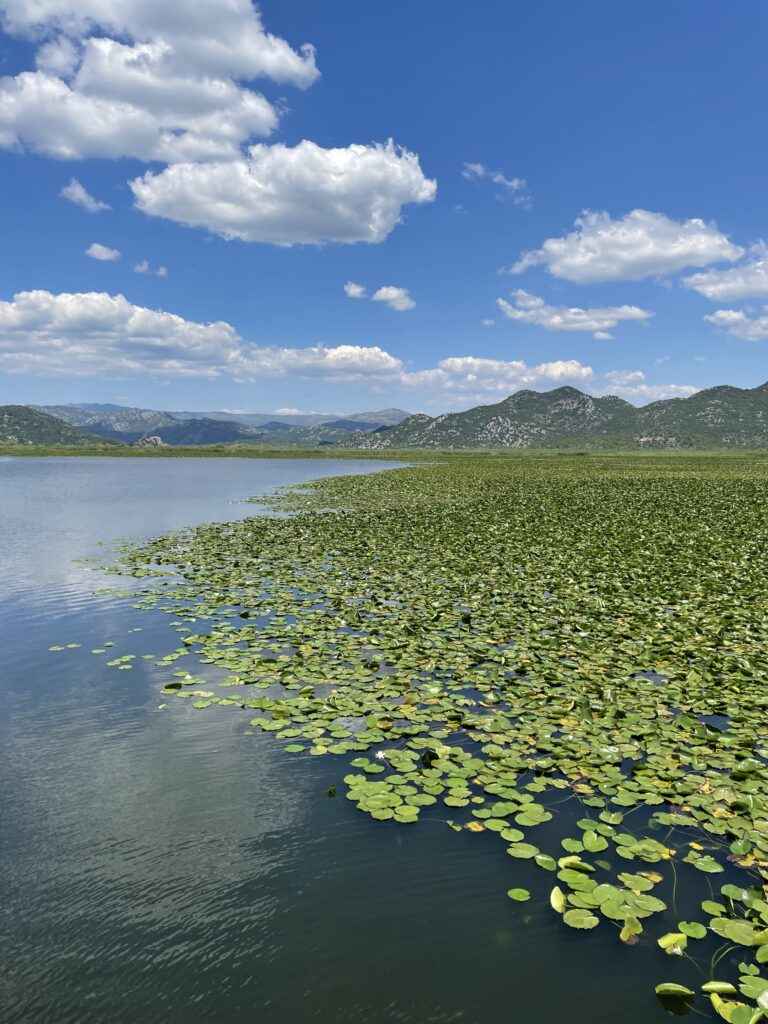 lac skadar montenegro