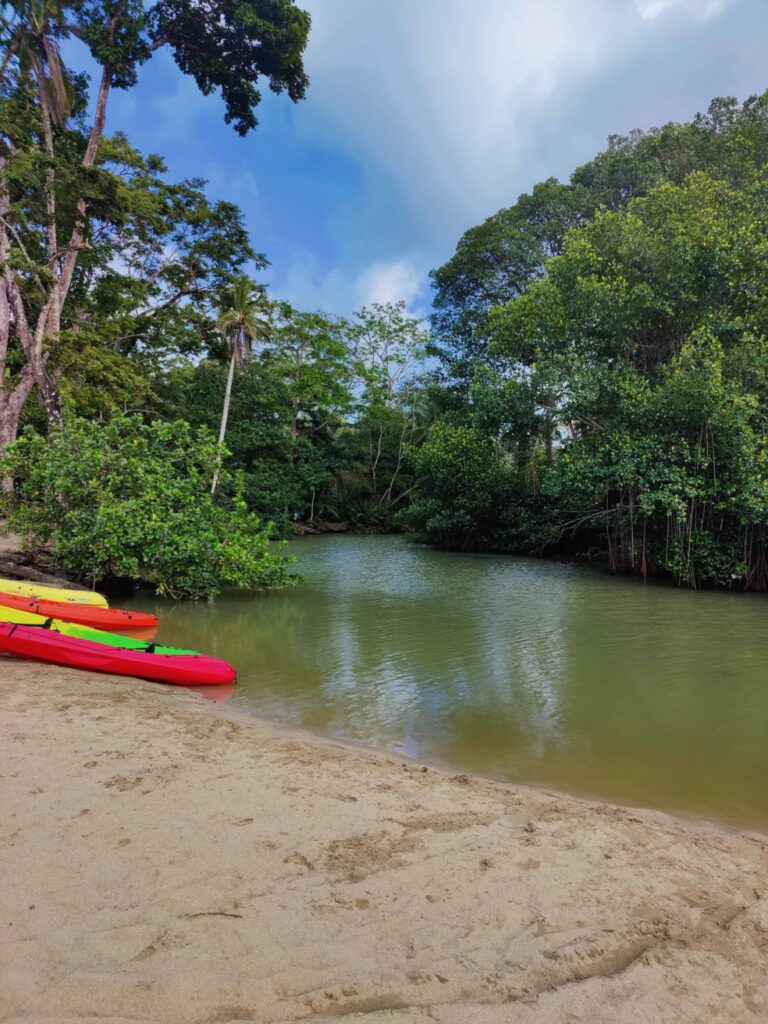 Côte Caraïbes Puerto Viejo kayak