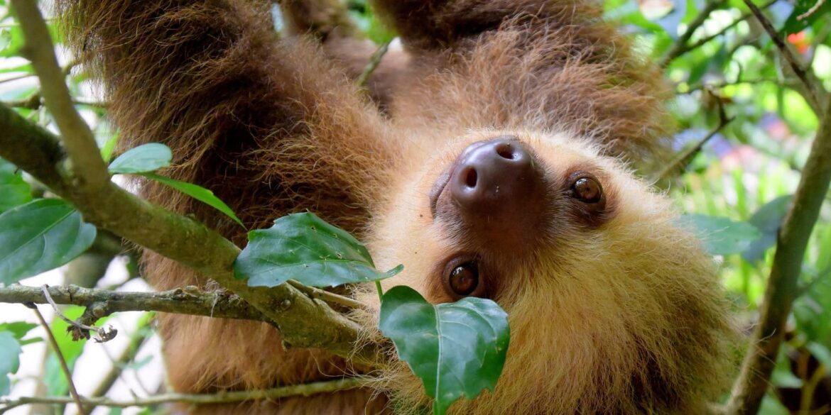 Costa Rica things to know