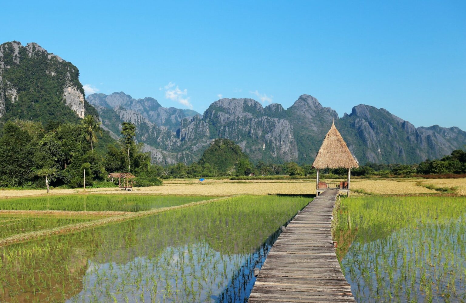 que faire a viang vieng laos