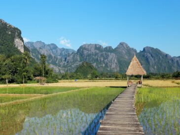 que faire a viang vieng laos
