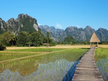 que faire a viang vieng laos