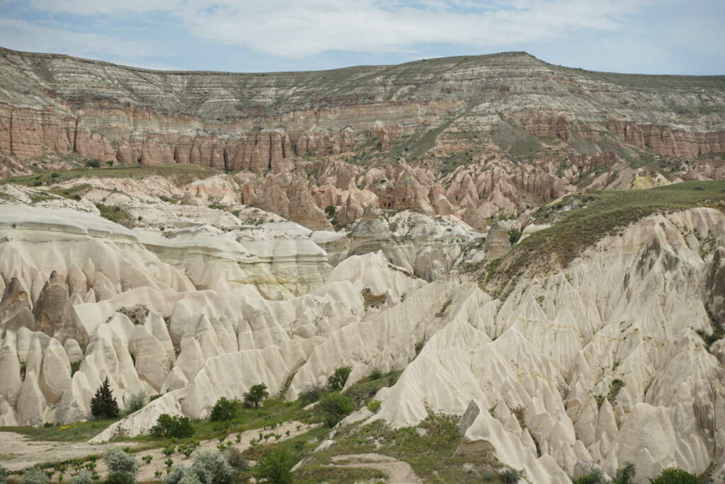 valley rose cappadoce