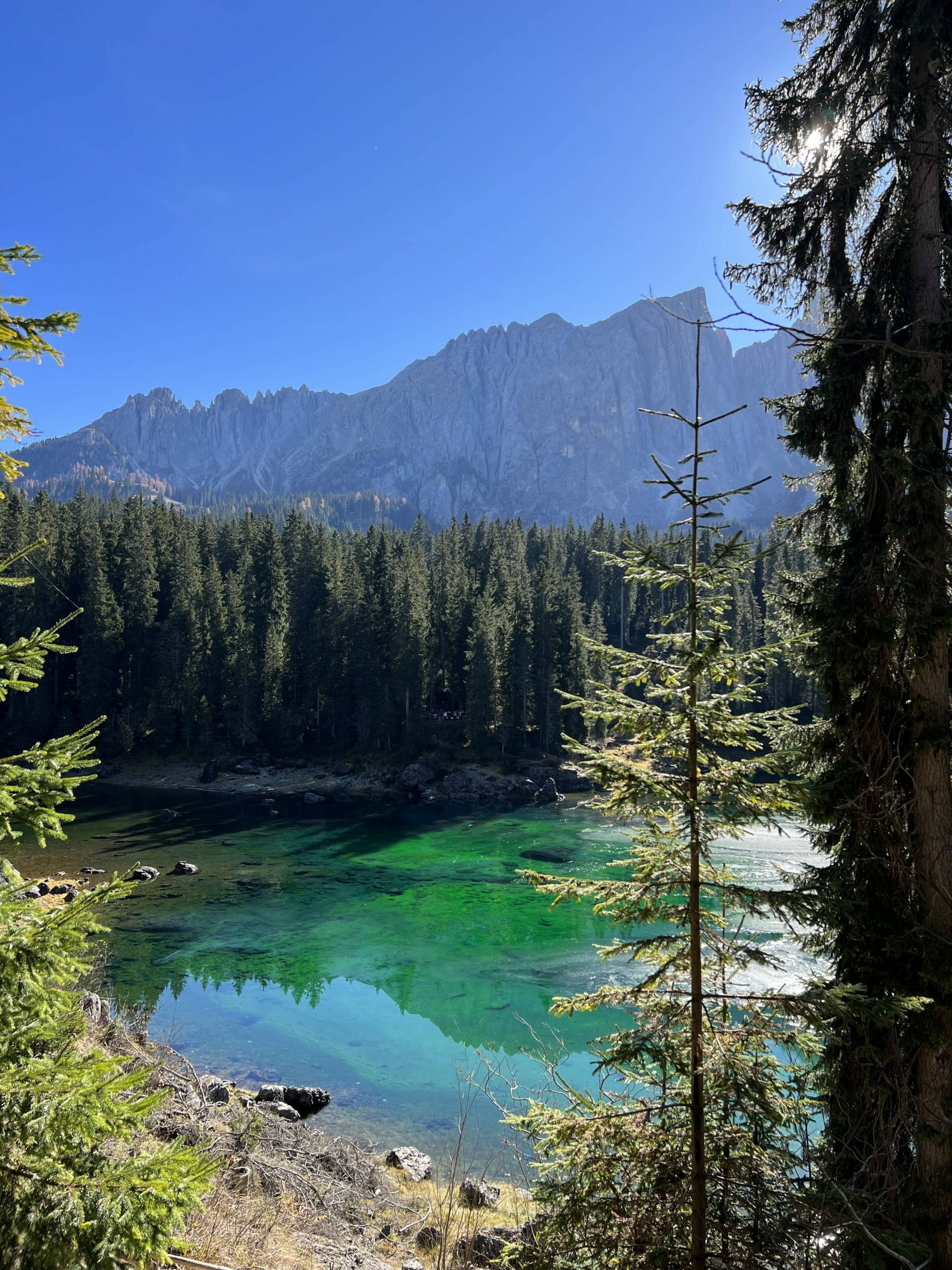 vue sur le lac de carezza dolomites