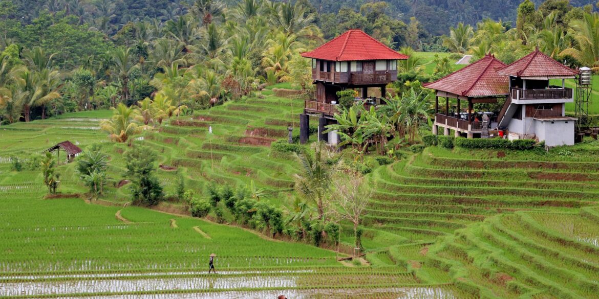 retraite spirituelle a bali