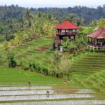 retraite spirituelle a bali