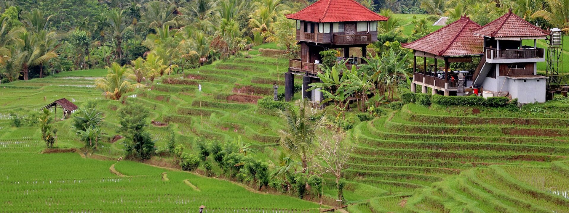 retraite spirituelle a bali