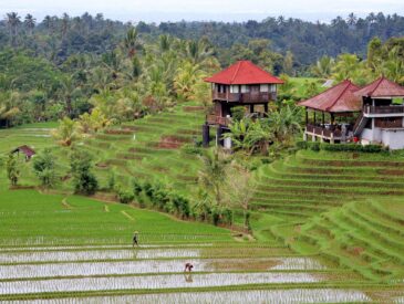 retraite spirituelle a bali