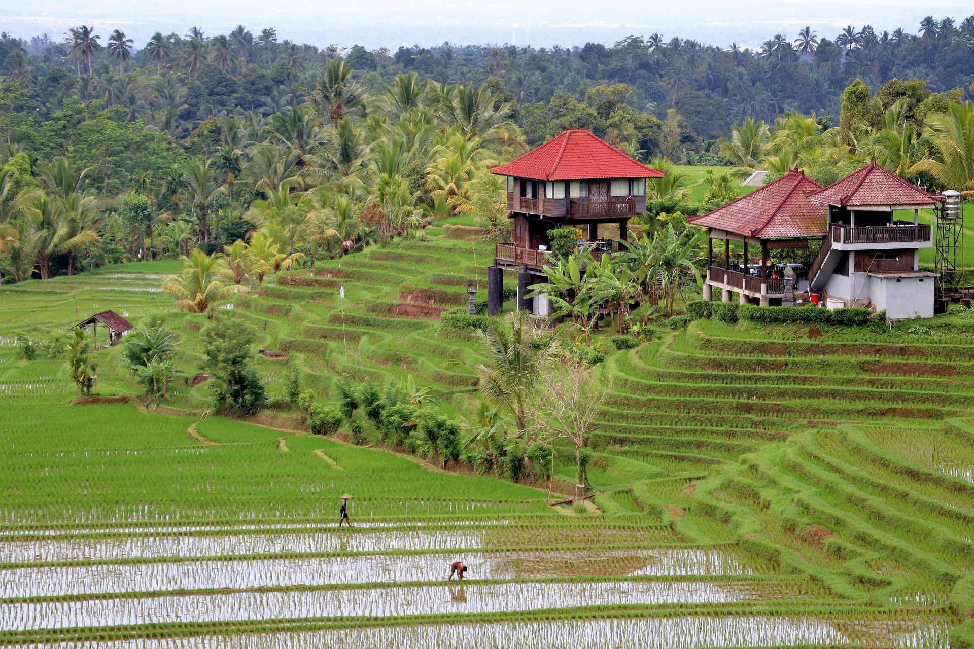 retraite spirituelle a bali