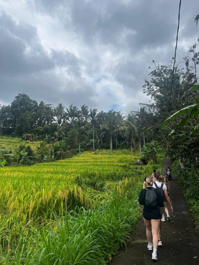 balade dans les rizières à bali