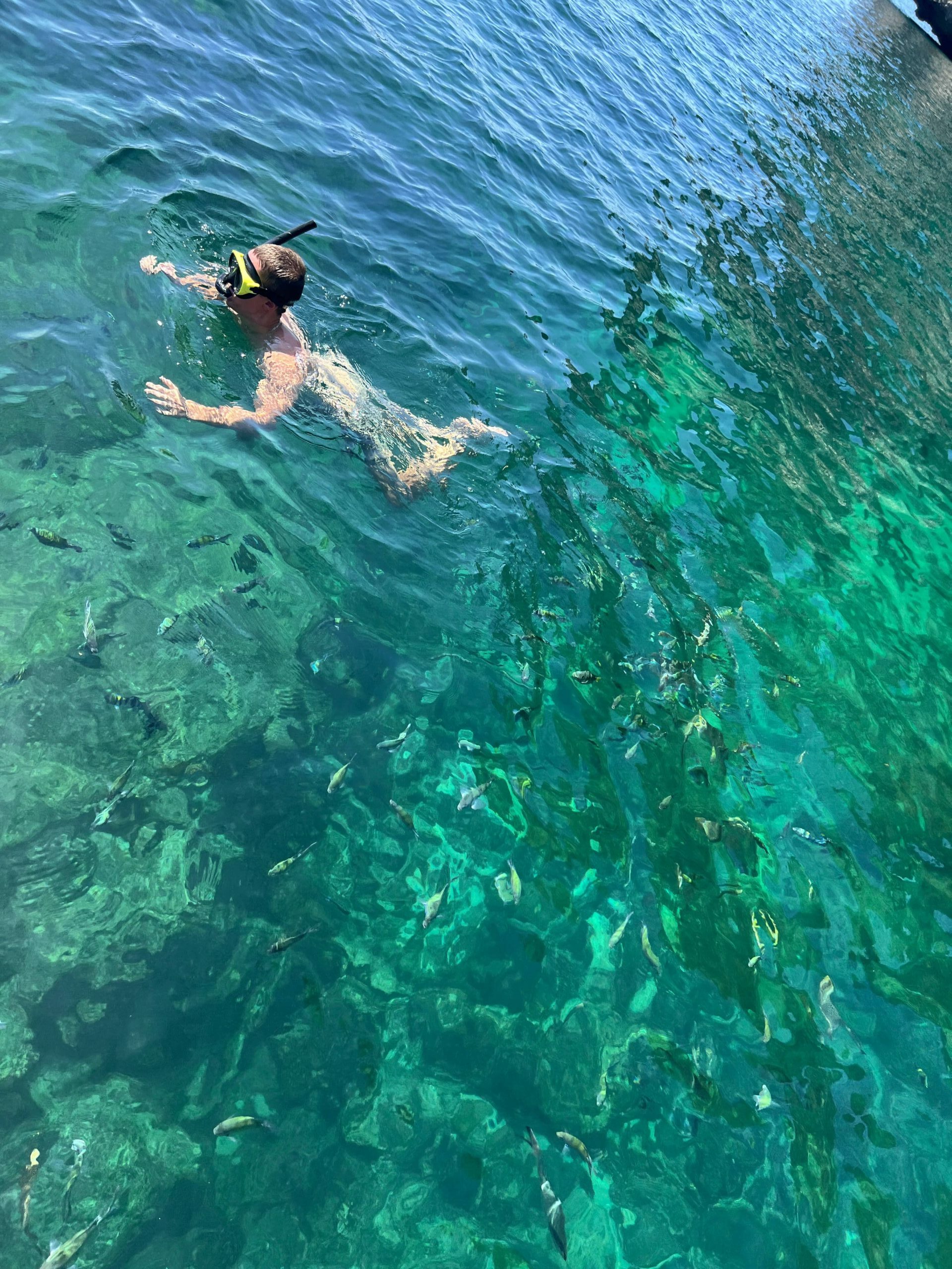 snorkeling lors de l'excursion en bateau a maya bay