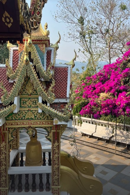 templs vieille ville de chiang mai
