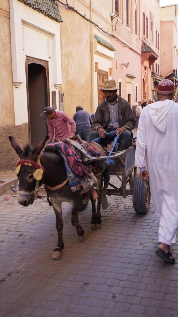 médina marrakech