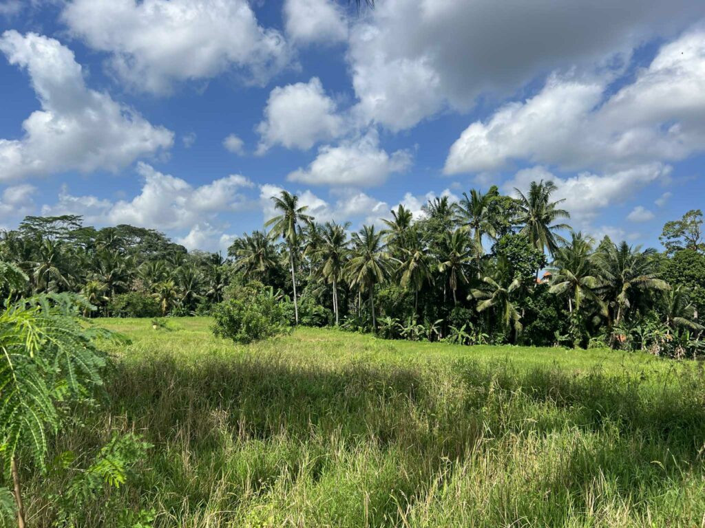 Sweet Orange Trail à ubud