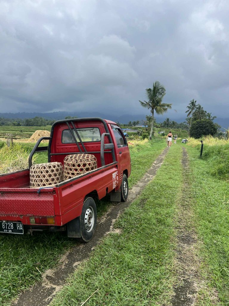 rizières de Jatiluwih à ubud