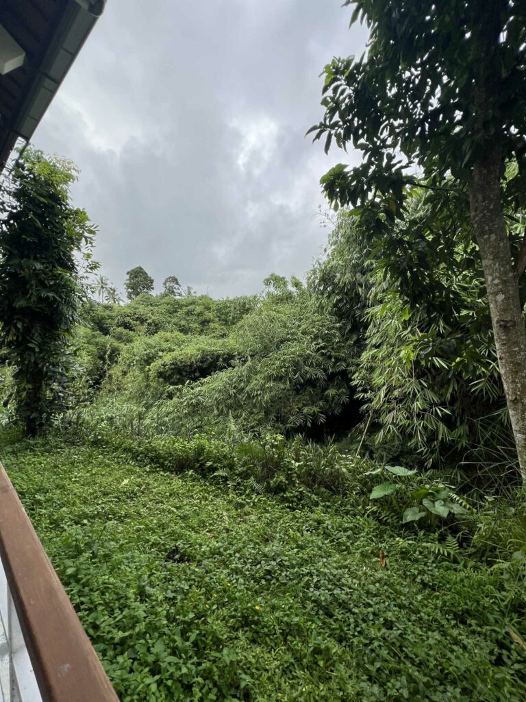 retraite vipassana mon experience a bali