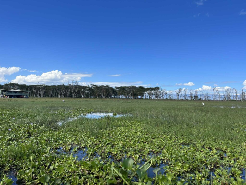 lac Naivasha au kenya