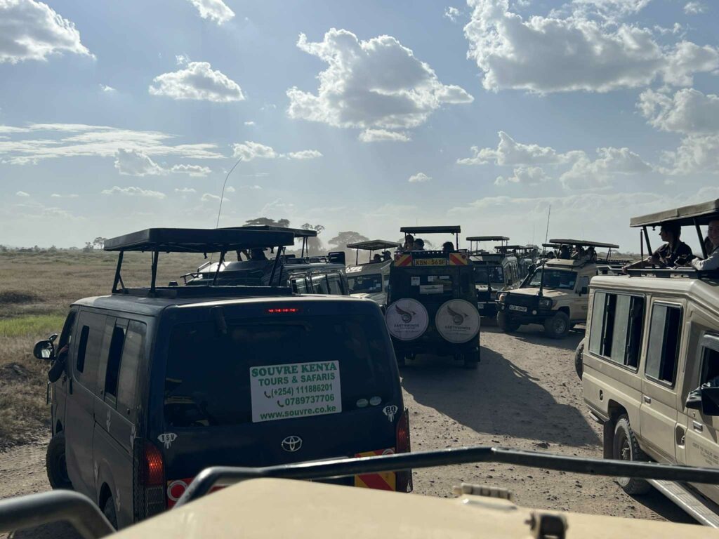bouchons dans le parc d'amboseli