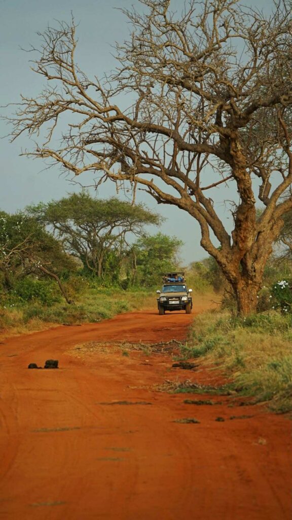 safari au kenya avec guide francophone
