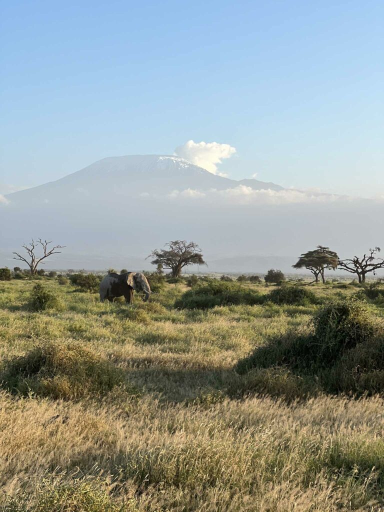 Parc d'Amboseli au kenya