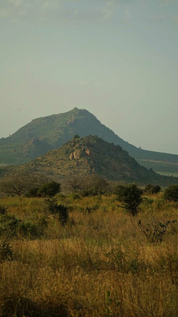 parc national de tsavo est