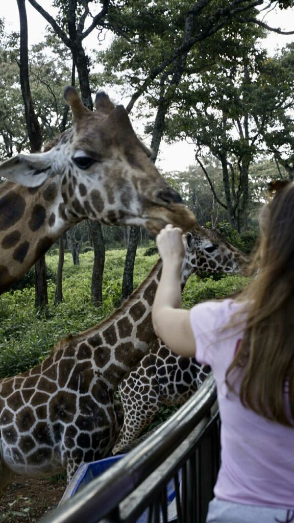 giraffe center à Nairobi