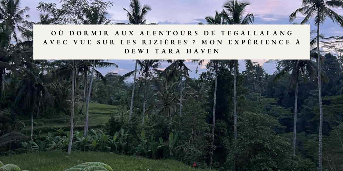 logement rizieres au alentours de ubud