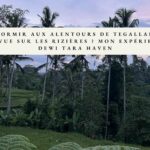 logement rizieres au alentours de ubud