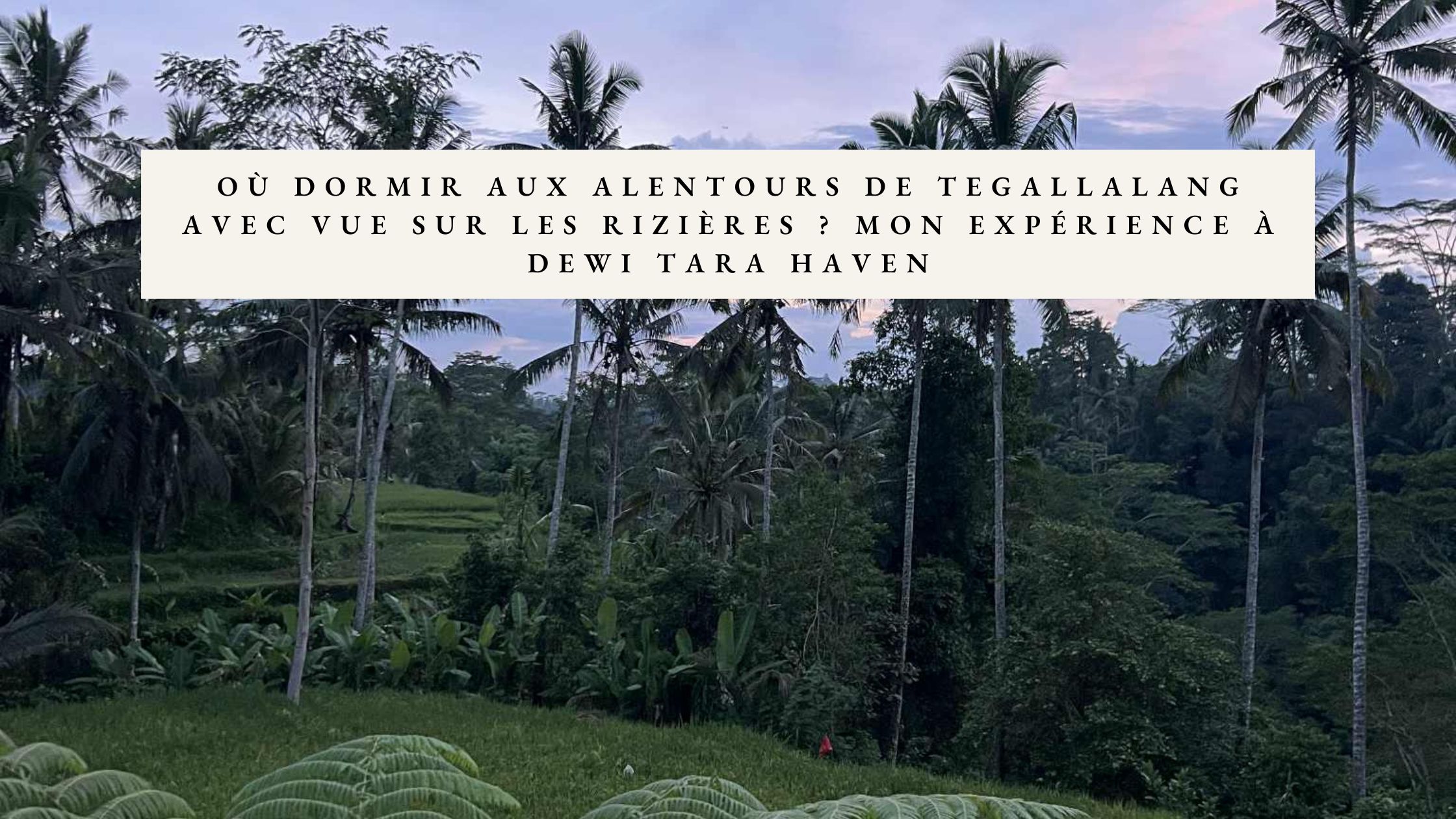 logement rizieres au alentours de ubud