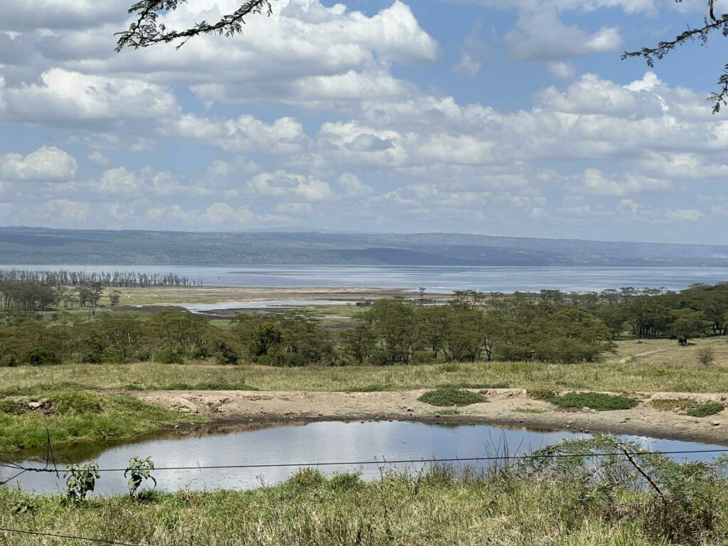 nakuru lodge kenya