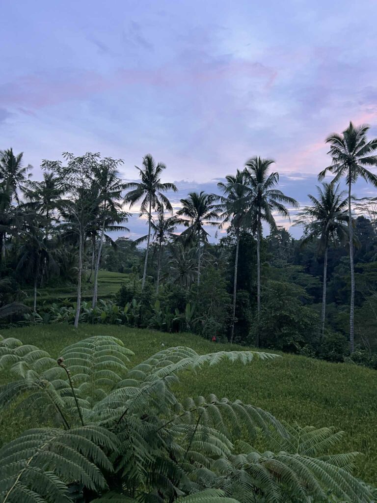 Dewi Tara Haven bali