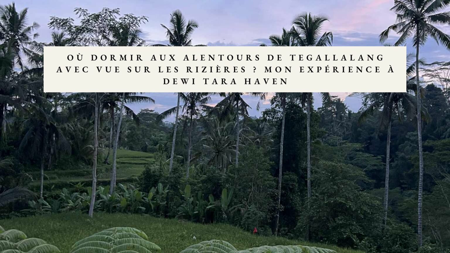logement rizieres au alentours de ubud