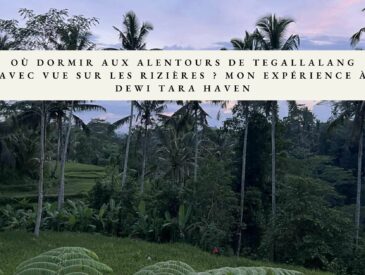 logement rizieres au alentours de ubud