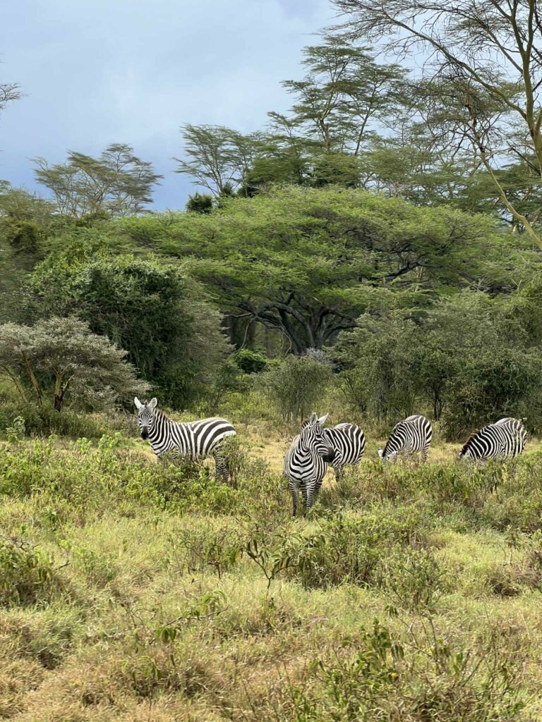 nakuru kenya