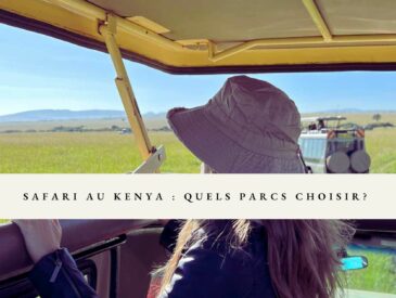 safari Kenya : quels parcs choisir