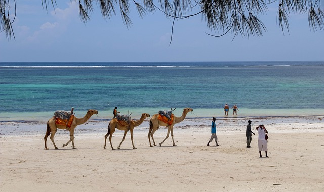 diani beach que faire apres un safari au kenya