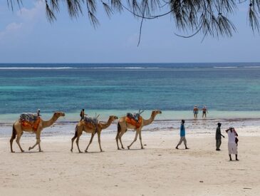 que faire a diani beach kenya