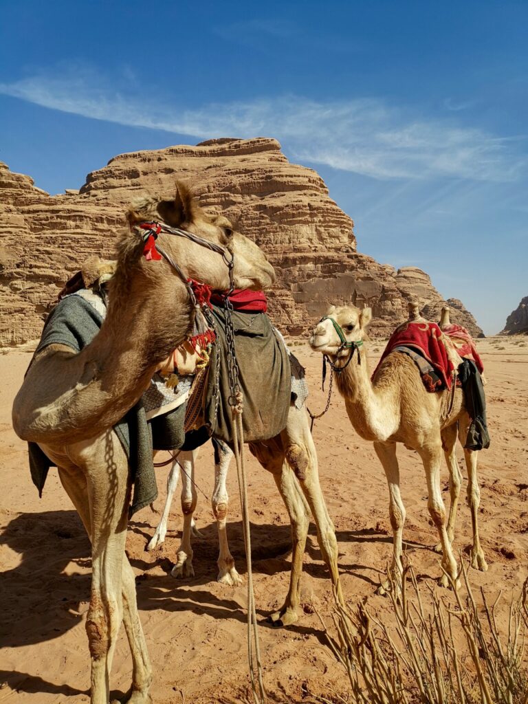 wadi rum jordanie