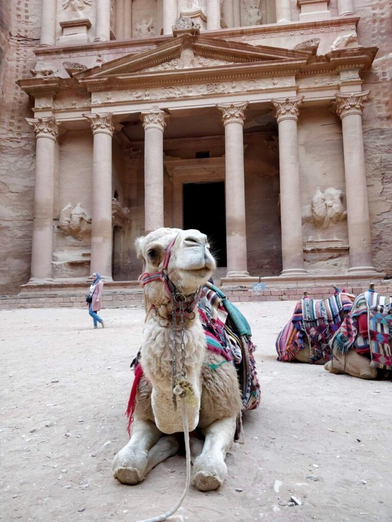 visiter petra jordanie