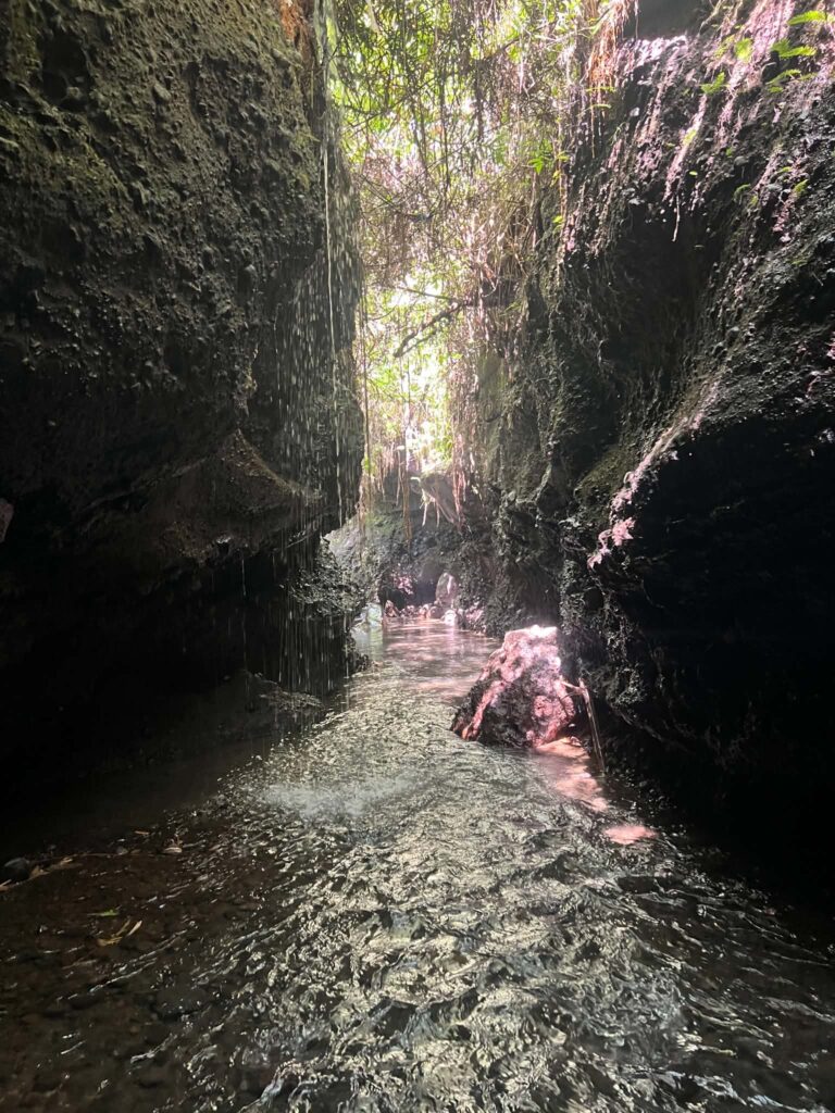 cascade de air terjun tetebatu