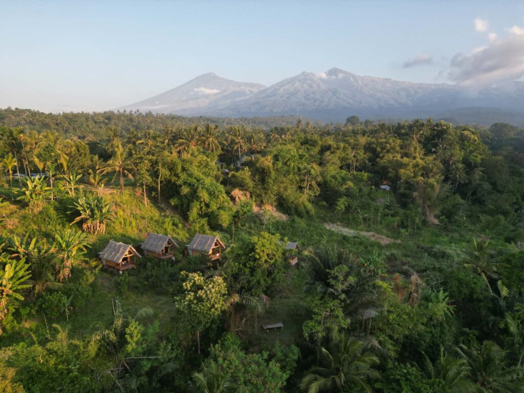 vue drone sanaru