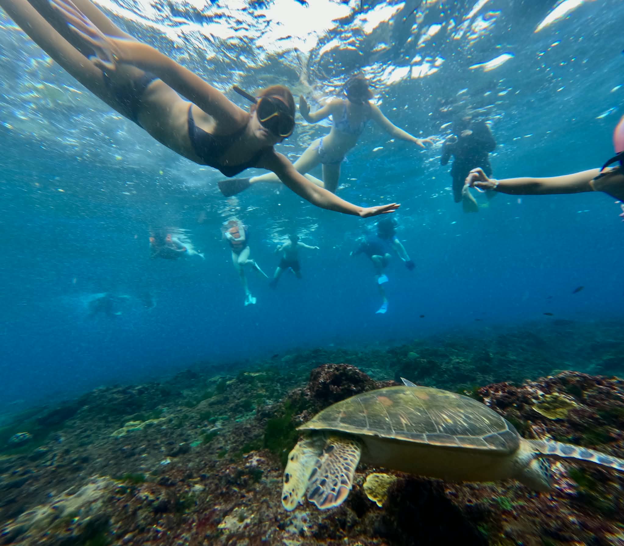 excursion raie manta lembongan