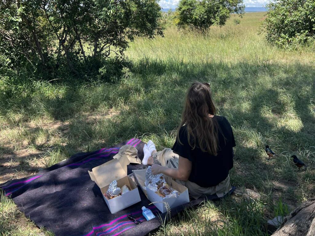 picnic a massai mara